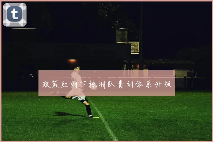 政策红利下株洲队青训体系升级