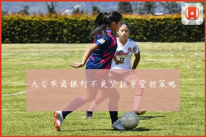 九台农商银行不良贷款率管控策略
