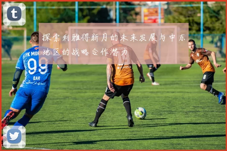 探索利雅得新月的未来发展与中东地区的战略合作潜力