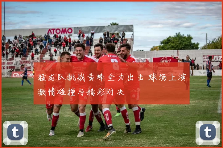 猛龙队挑战黄蜂全力出击 球场上演激情碰撞与精彩对决