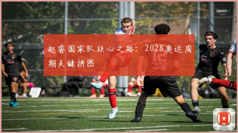 赵睿国家队核心之路：2028奥运周期关键拼图
