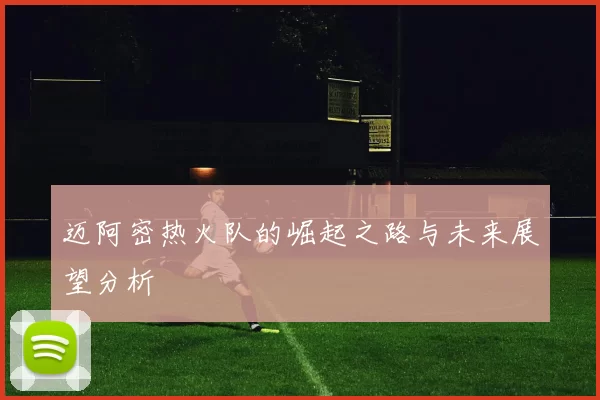 迈阿密热火队的崛起之路与未来展望分析