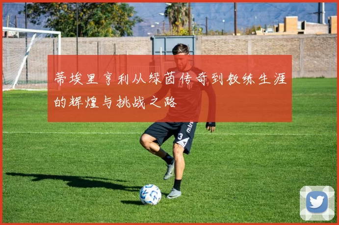 蒂埃里亨利从绿茵传奇到教练生涯的辉煌与挑战之路