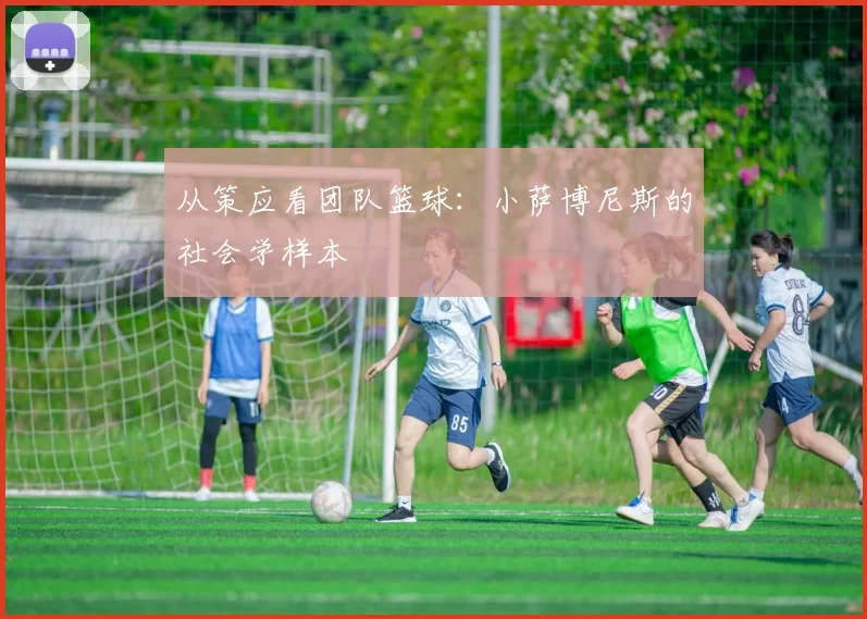 从策应看团队篮球：小萨博尼斯的社会学样本
