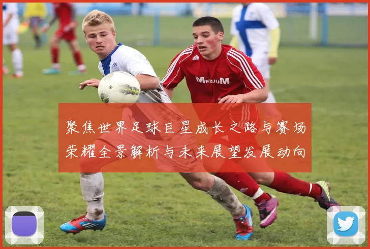 聚焦世界足球巨星成长之路与赛场荣耀全景解析与未来展望发展动向